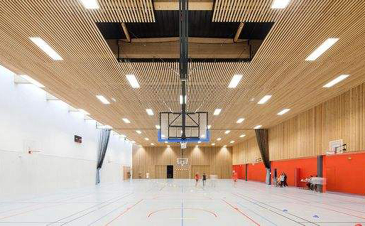 廣西學(xué)校體育館吸音板工程 廣西學(xué)校體育館吸音板工程